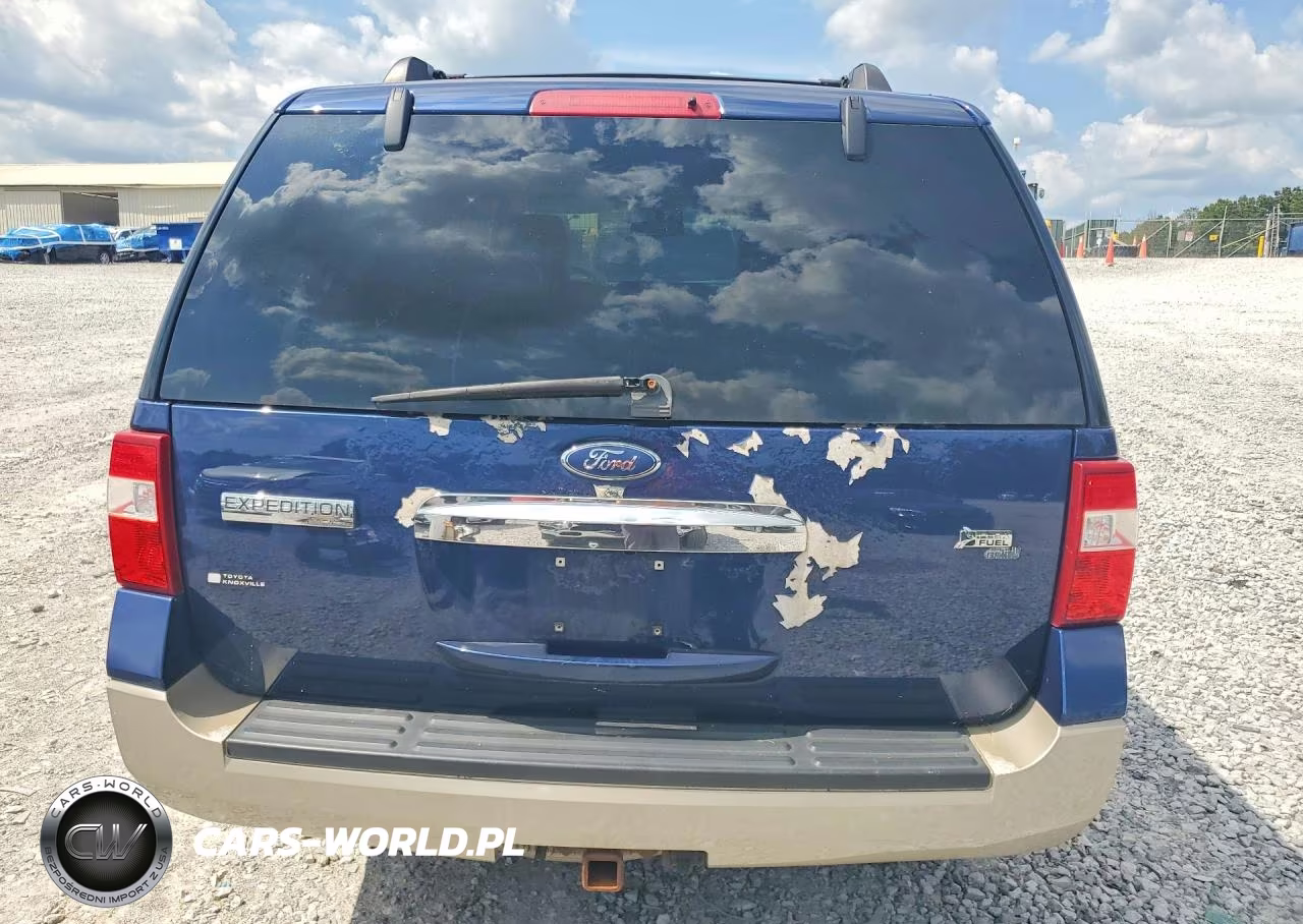 2010 Ford Expedition Eddie Bauer VIN:1FMJU1J53AEB47647 - 6