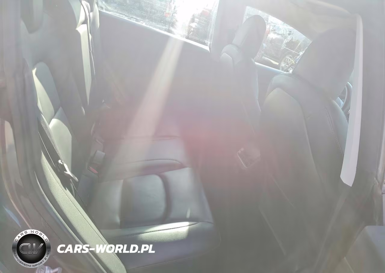 2020 Tesla Model 3 VIN:5YJ3E1EA1LF598515 - 10