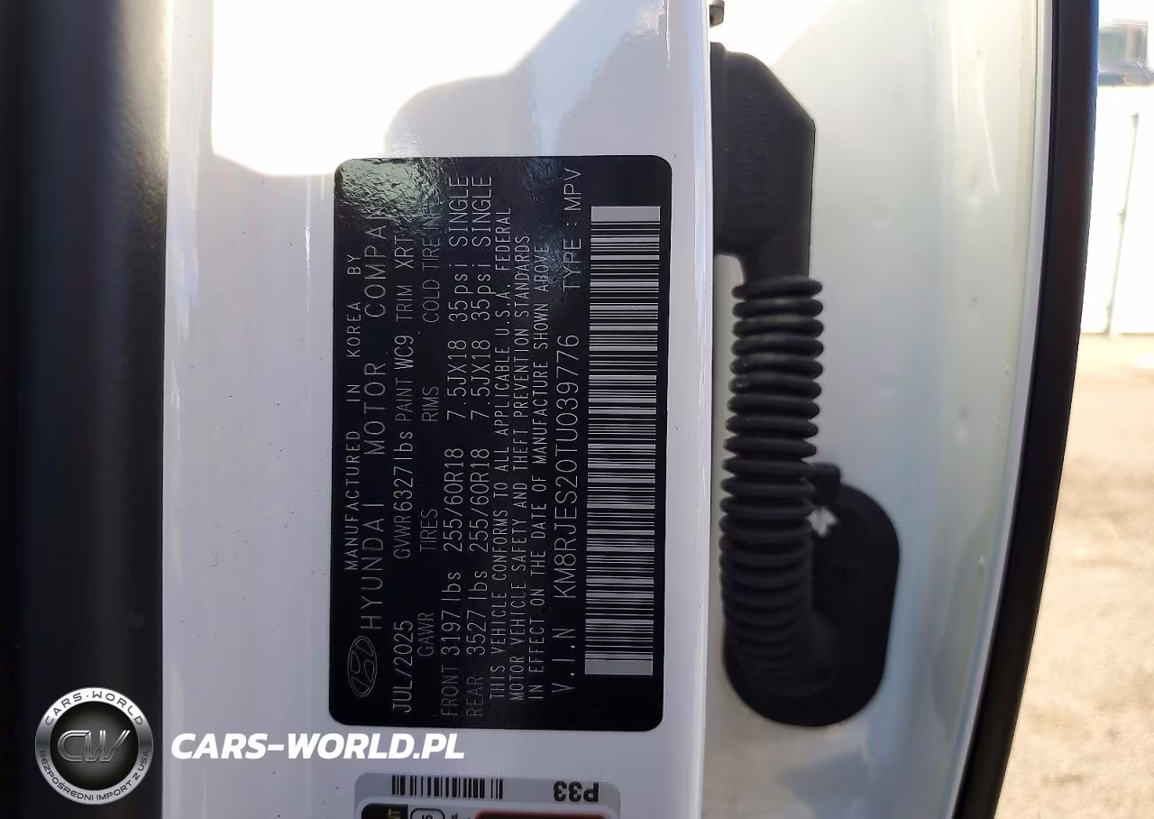 2026 Hyundai Palisade Xrt Pro VIN:KM8RJES20TU039776 - 14