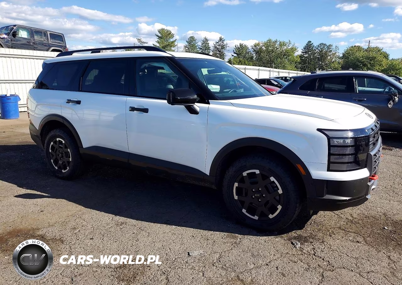 2026 Hyundai Palisade Xrt Pro VIN:KM8RJES20TU039776 - 4