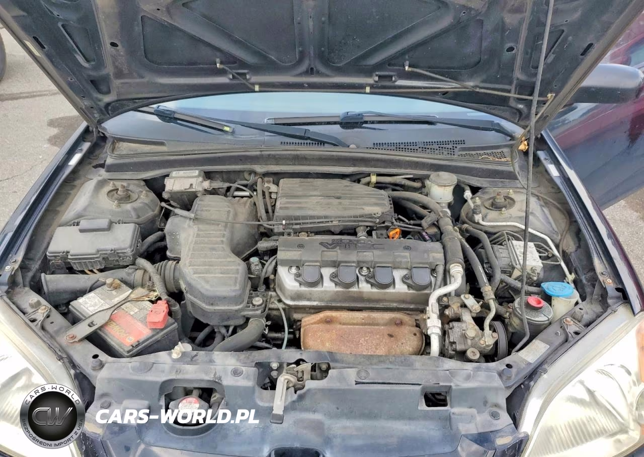 2003 Honda Civic Ex VIN:1HGEM22973L076692 - 11