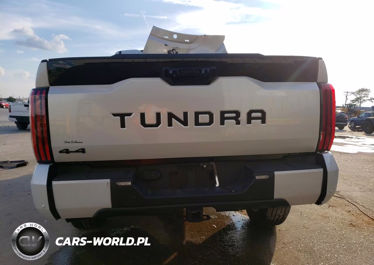 2026 Toyota Tundra Platinum VIN:5TFNA5DB4TX404829 - 6