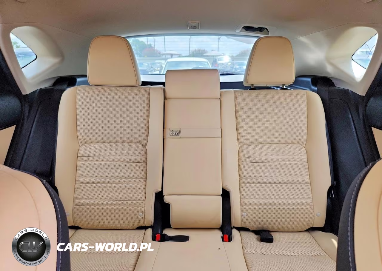 2018 Lexus Nx 300 Base VIN:JTJYARBZ4J2099196 - 10