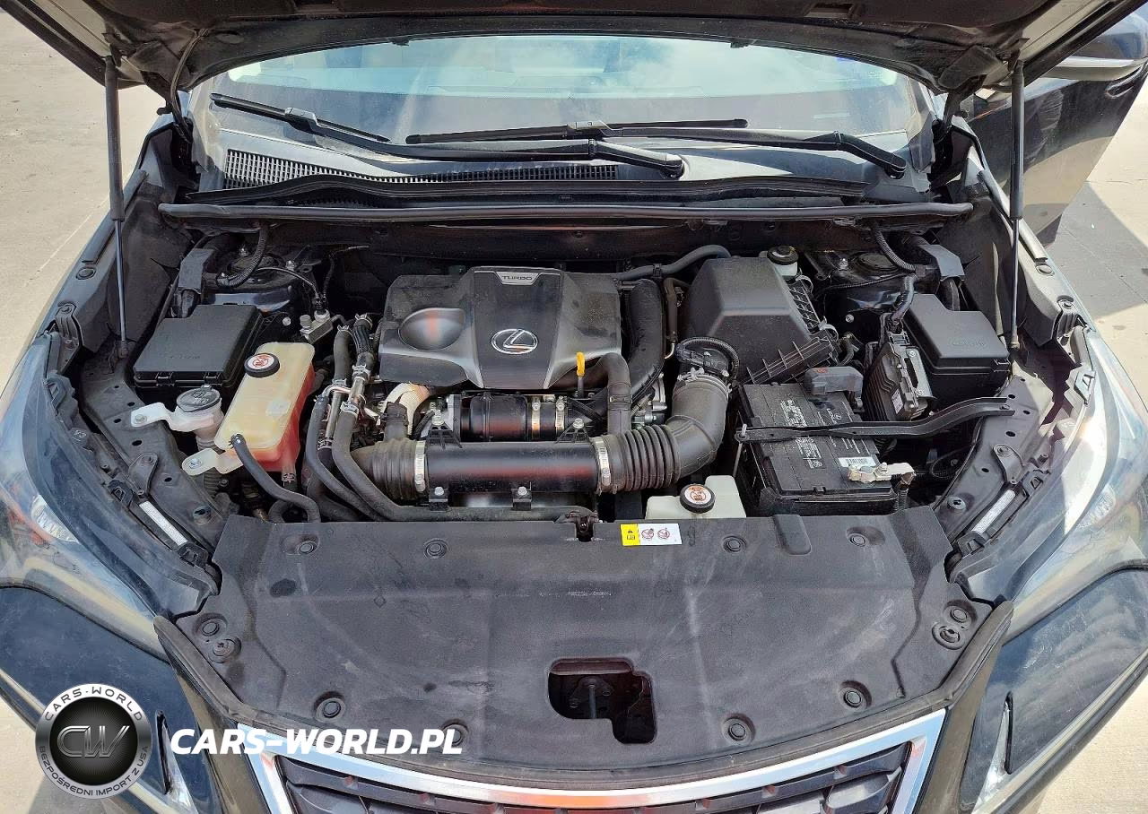 2018 Lexus Nx 300 Base VIN:JTJYARBZ4J2099196 - 12