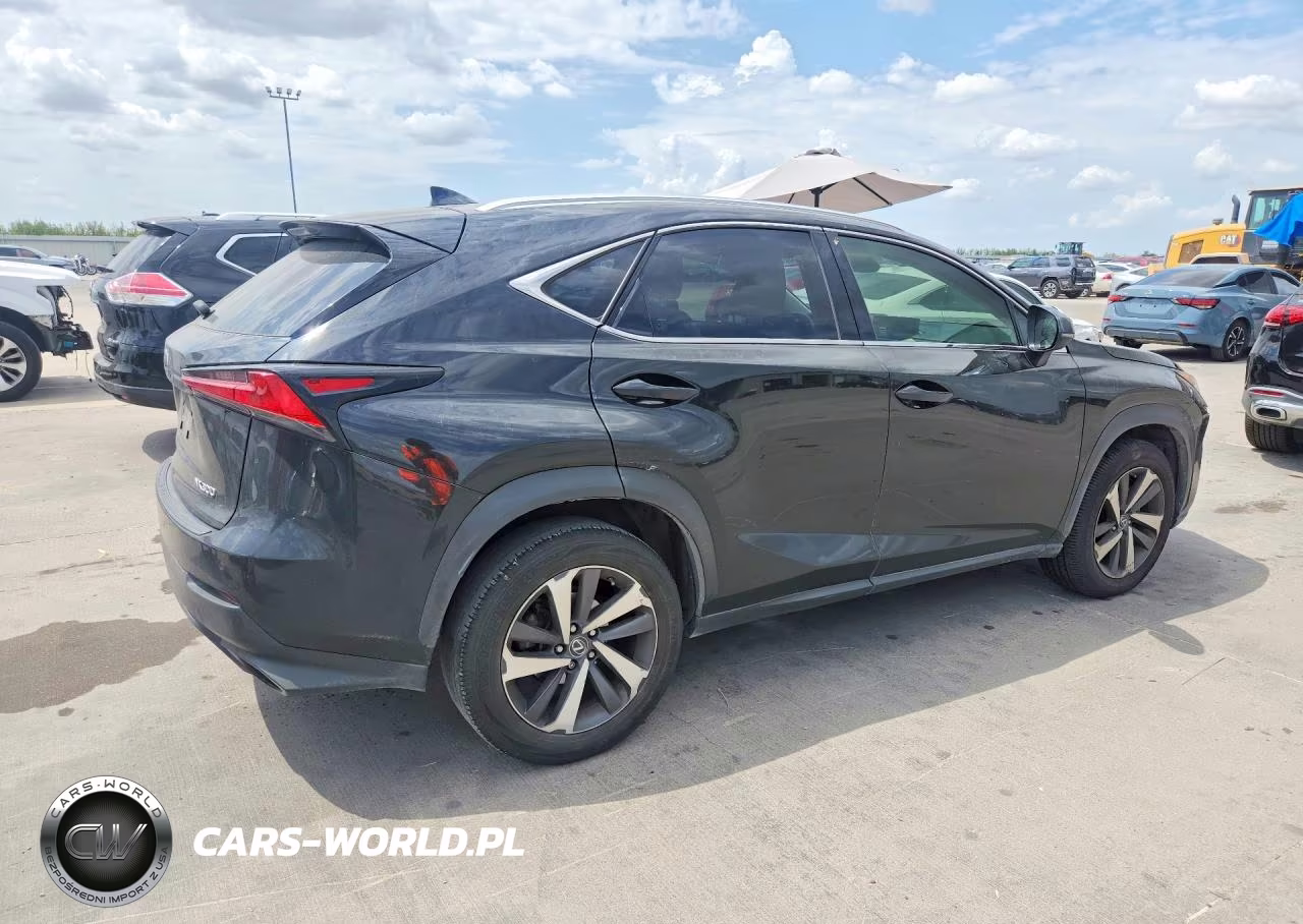 2018 Lexus Nx 300 Base VIN:JTJYARBZ4J2099196 - 3