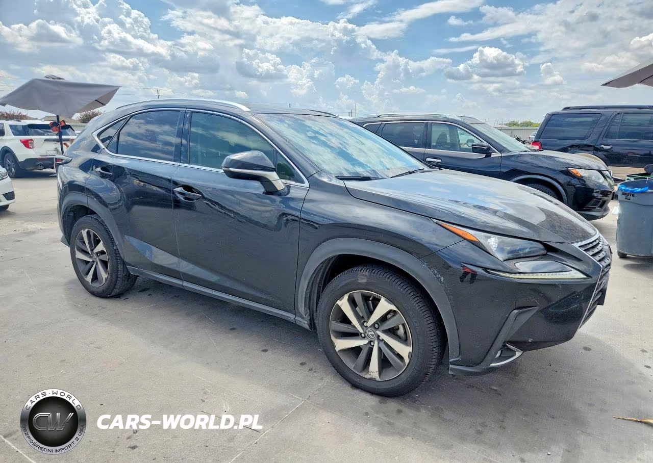 2018 Lexus Nx 300 Base VIN:JTJYARBZ4J2099196 - 4