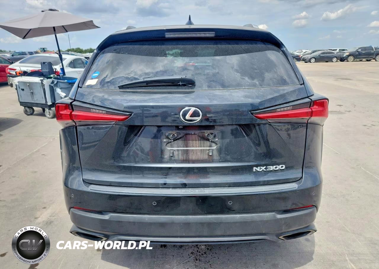 2018 Lexus Nx 300 Base VIN:JTJYARBZ4J2099196 - 6