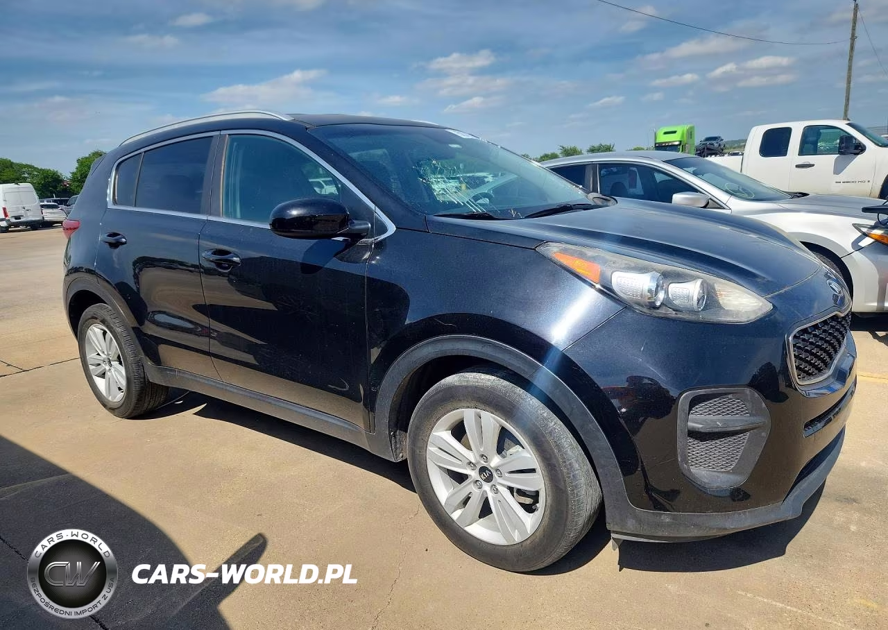 2017 Kia Sportage Lx VIN:KNDPM3AC8H7237691 - 4