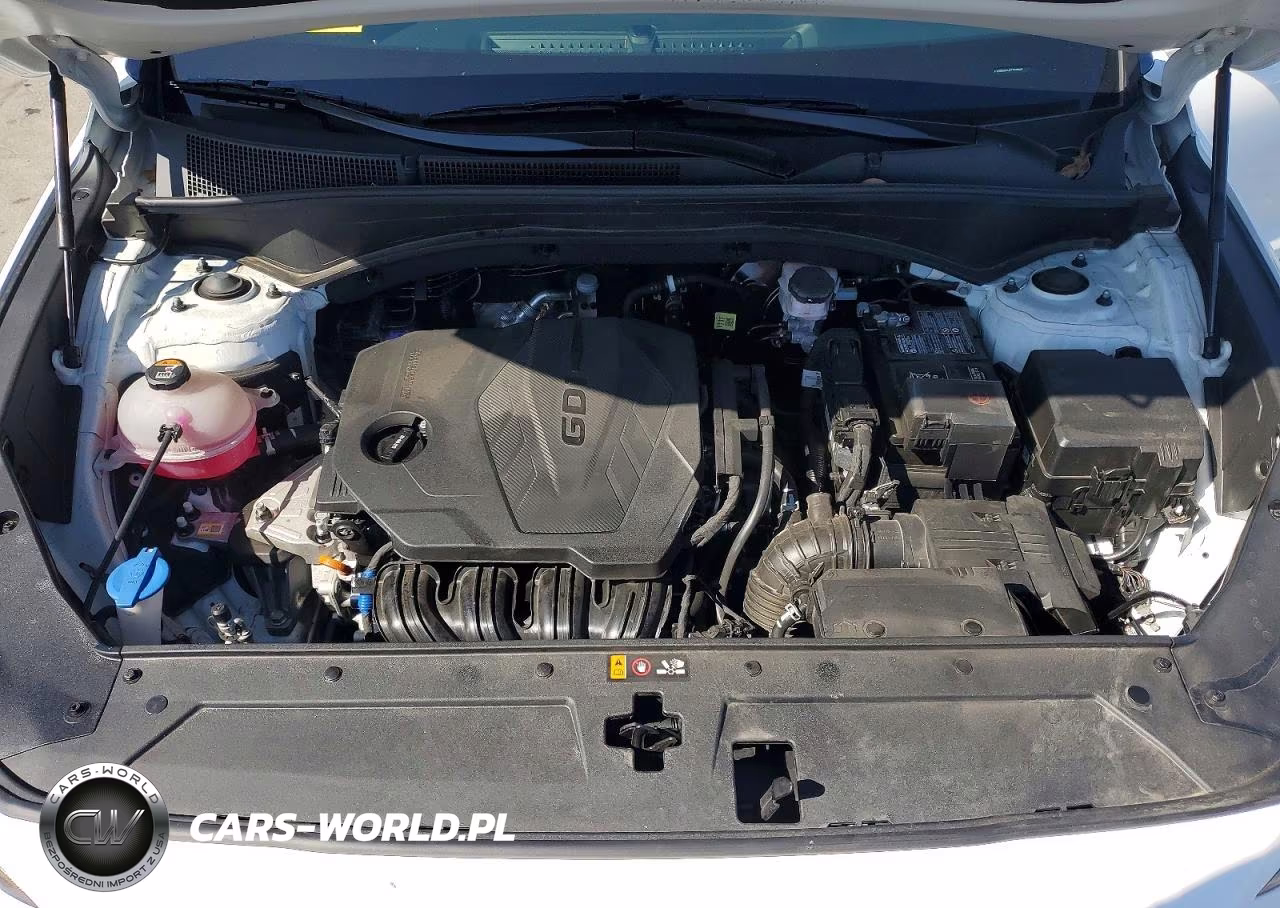 2023 Hyundai Santa Fe Sel VIN:5NMS24AJ4PH630826 - 11