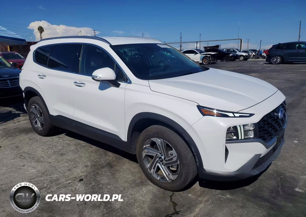 2023 Hyundai Santa Fe Sel VIN:5NMS24AJ4PH630826 - 4
