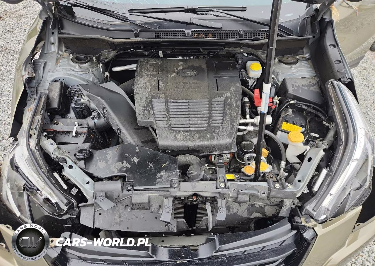 2024 Subaru Forester Limited VIN:JF2SKALC5RH414065 - 12
