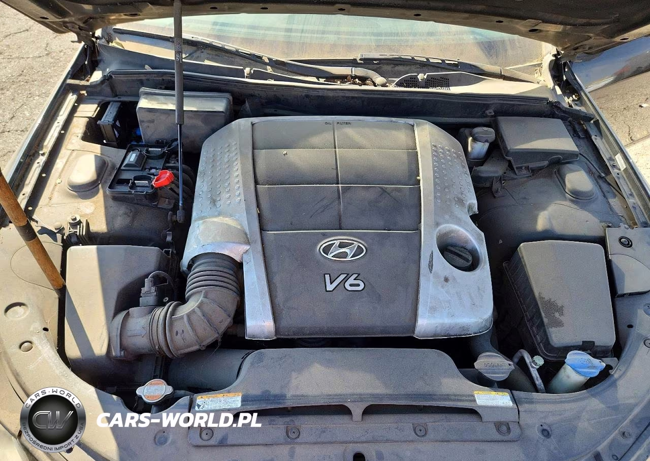 2009 Hyundai Genesis 3.8L VIN:KMHGC46E89U036147 - 11