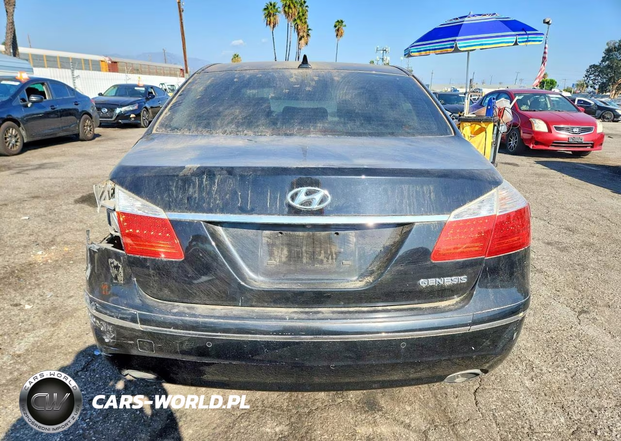 2009 Hyundai Genesis 3.8L VIN:KMHGC46E89U036147 - 6