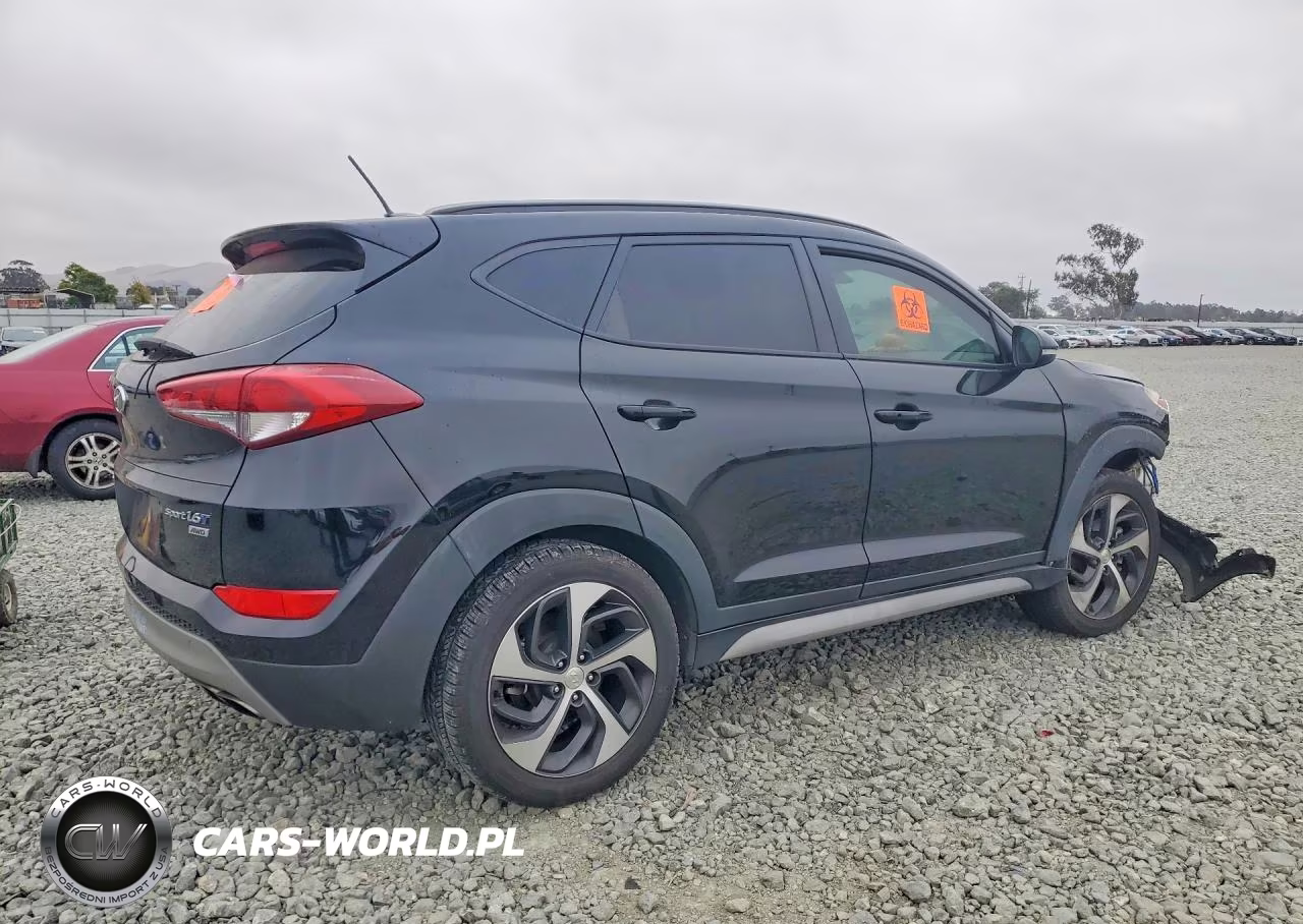 2017 Hyundai Tucson Sport VIN:KM8J3CA28HU541522 - 3