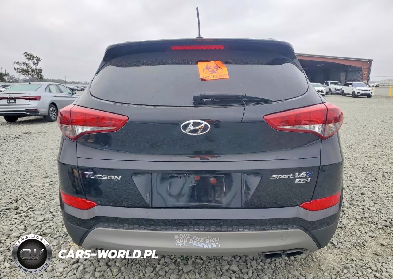 2017 Hyundai Tucson Sport VIN:KM8J3CA28HU541522 - 6