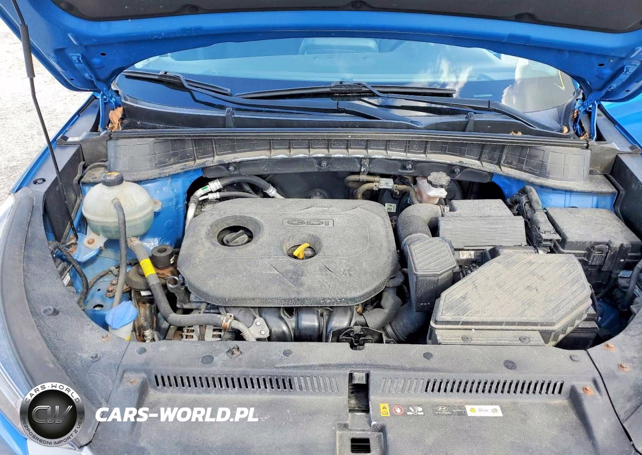 2019 Hyundai Tucson Value VIN:KM8J3CA42KU025228 - 12
