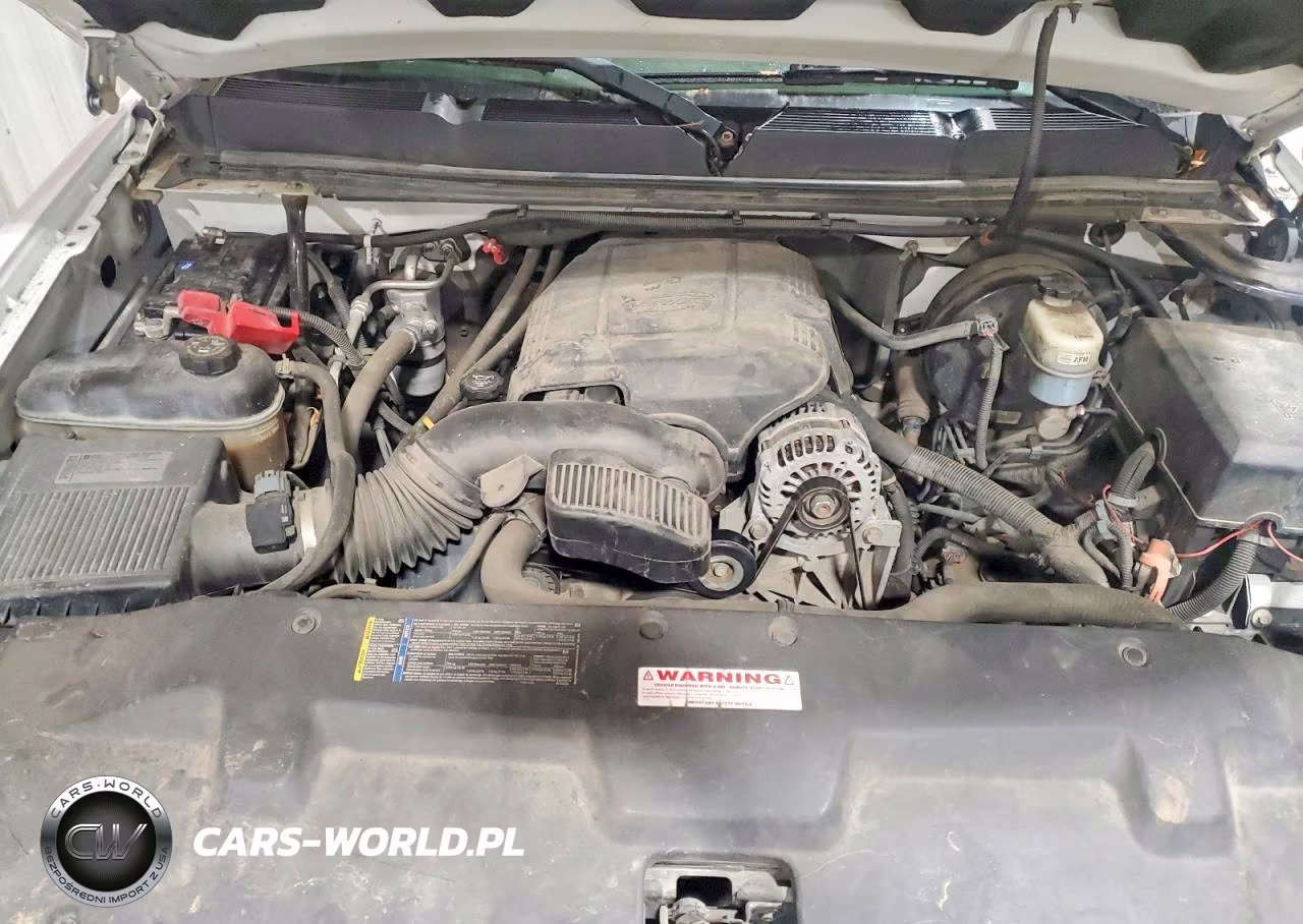 2010 Chevrolet Silverado K1500 Lt VIN:1GCSKSEAXAZ295993 - 11
