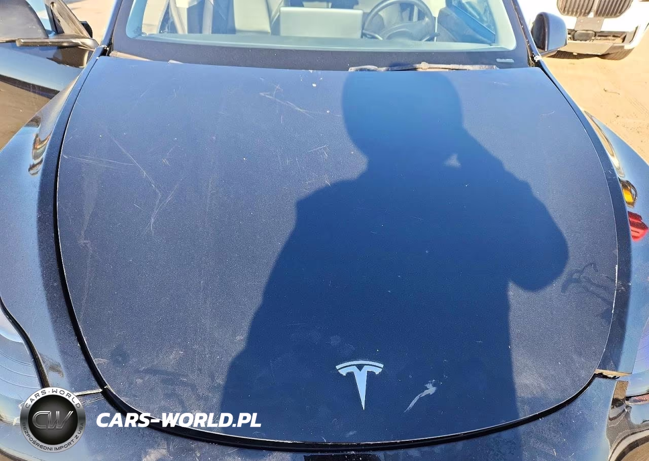 2022 Tesla Model Y VIN:7SAYGDEF4NF490568 - 12
