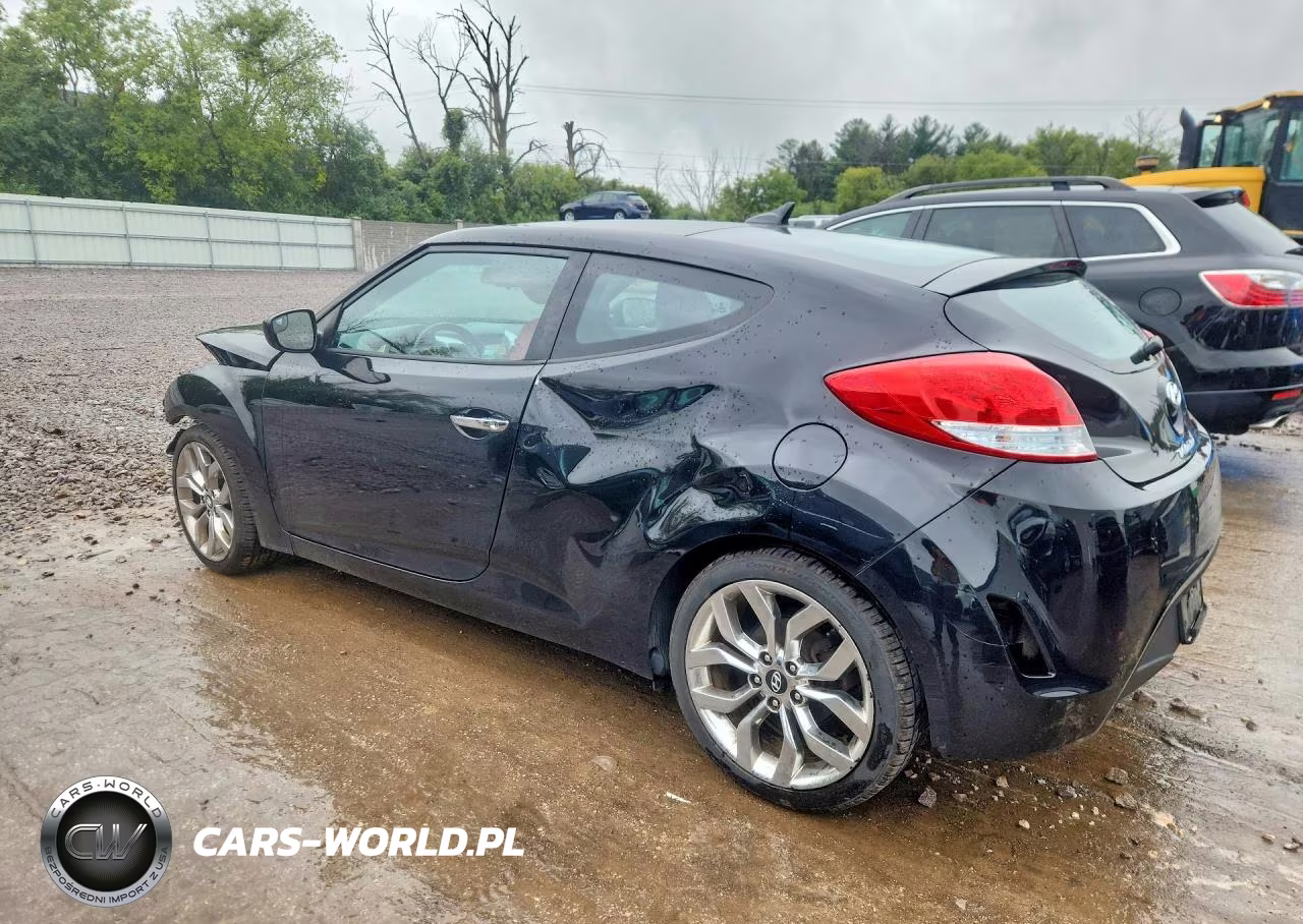 2014 Hyundai Veloster Re:flex VIN:KMHTC6AD1EU214077 - 2