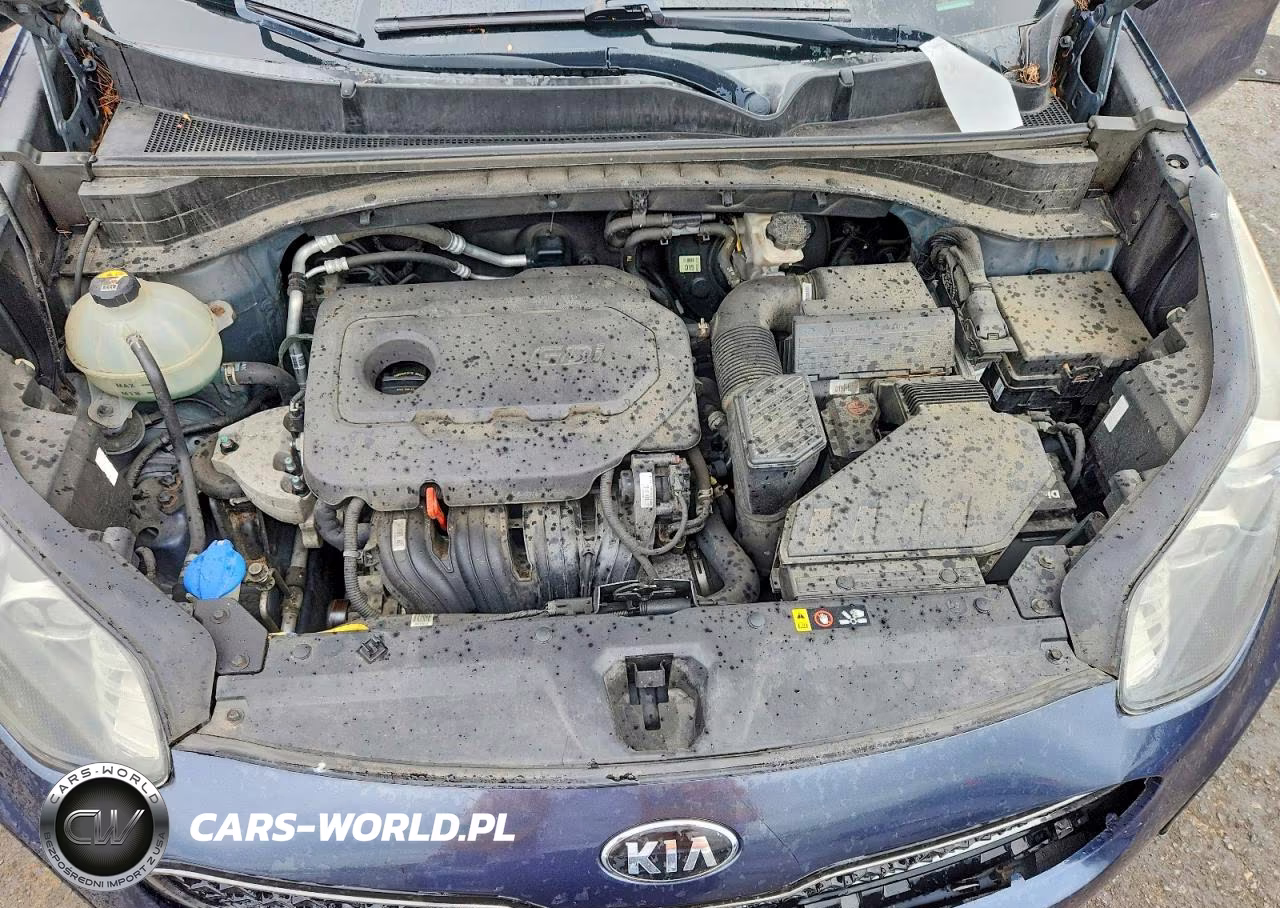 2017 Kia Sportage Lx VIN:KNDPMCAC7H7285733 - 11