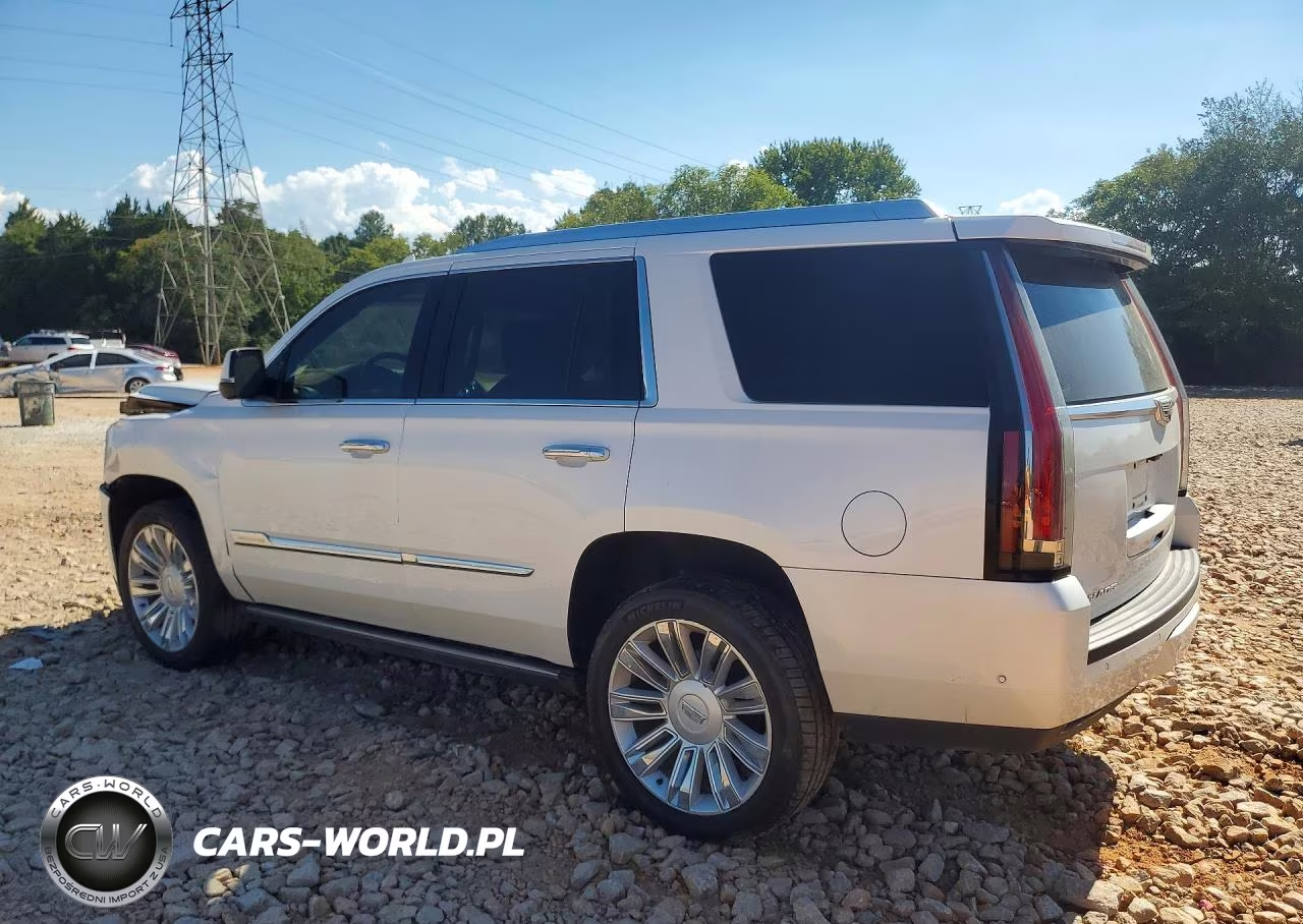 2017 Cadillac Escalade Platinum VIN:1GYS4DKJ2HR357210 - 2