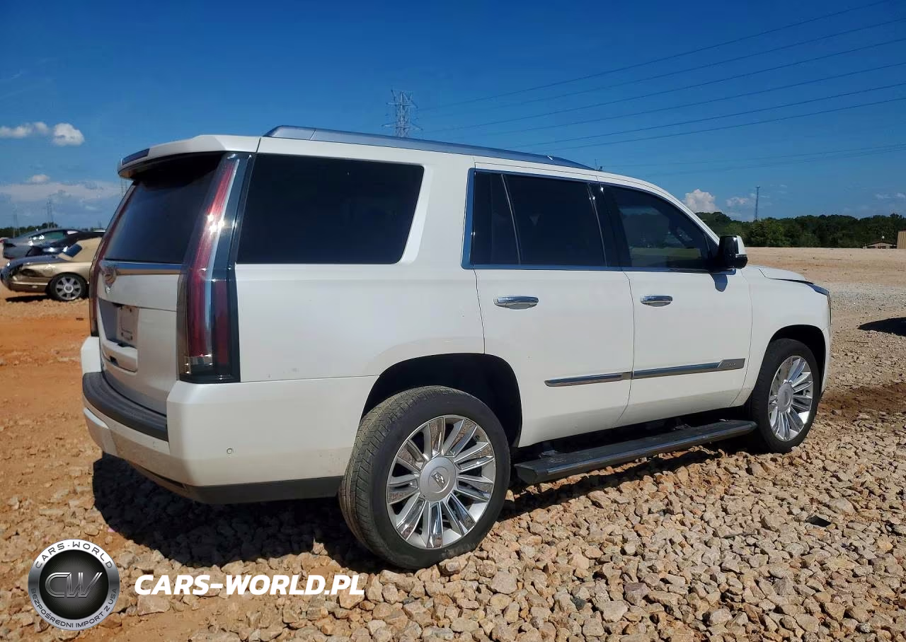 2017 Cadillac Escalade Platinum VIN:1GYS4DKJ2HR357210 - 3