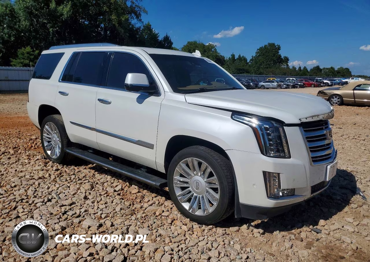 2017 Cadillac Escalade Platinum VIN:1GYS4DKJ2HR357210 - 4