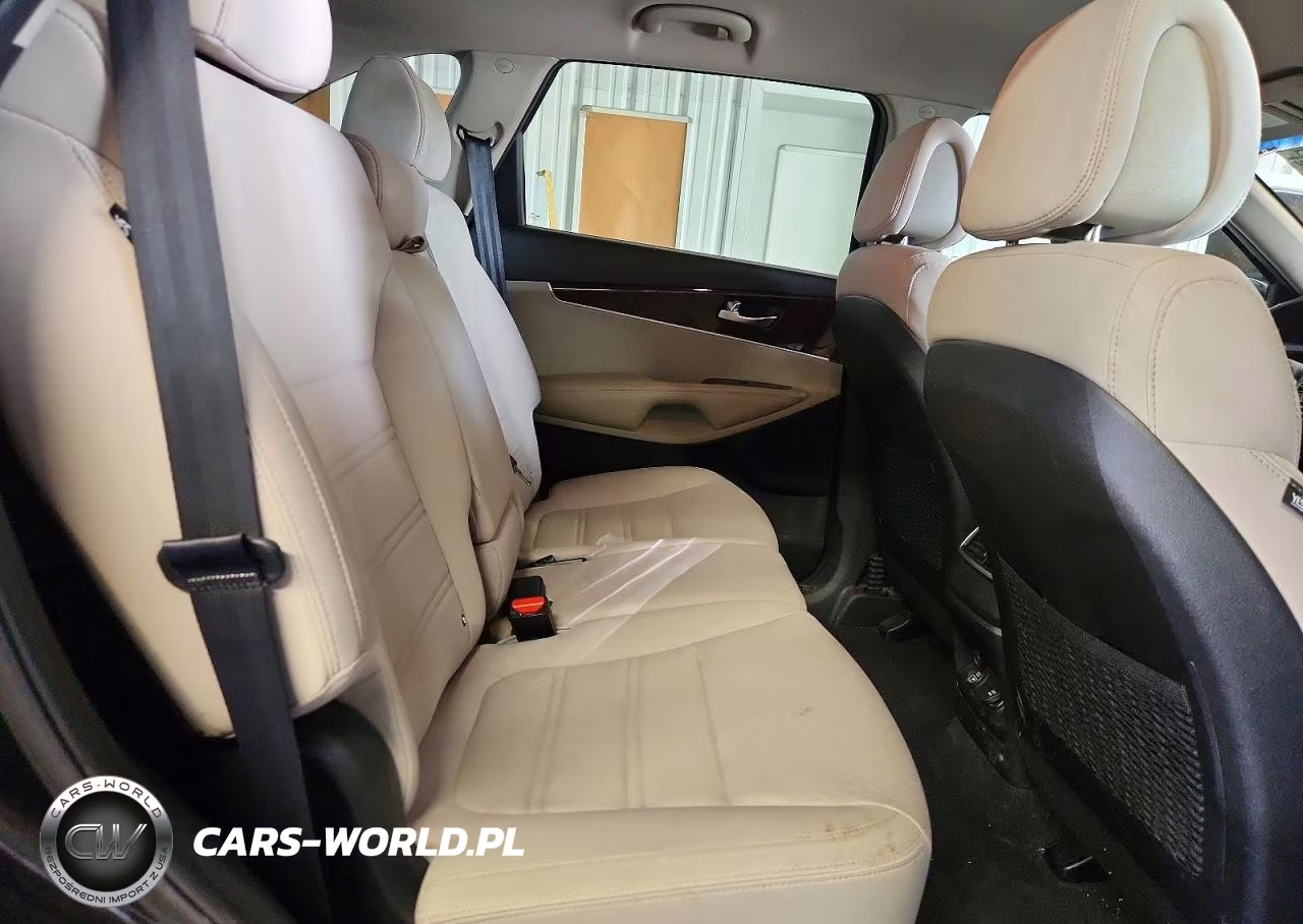 2016 Kia Sorento Lx VIN:5XYPGDA31GG057919 - 11