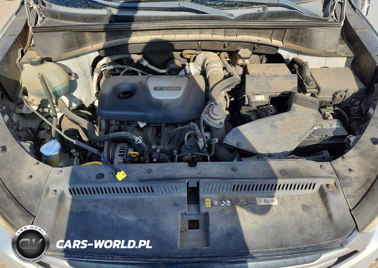 2017 Hyundai Tucson Eco VIN:KM8J33A2XHU355772 - 12