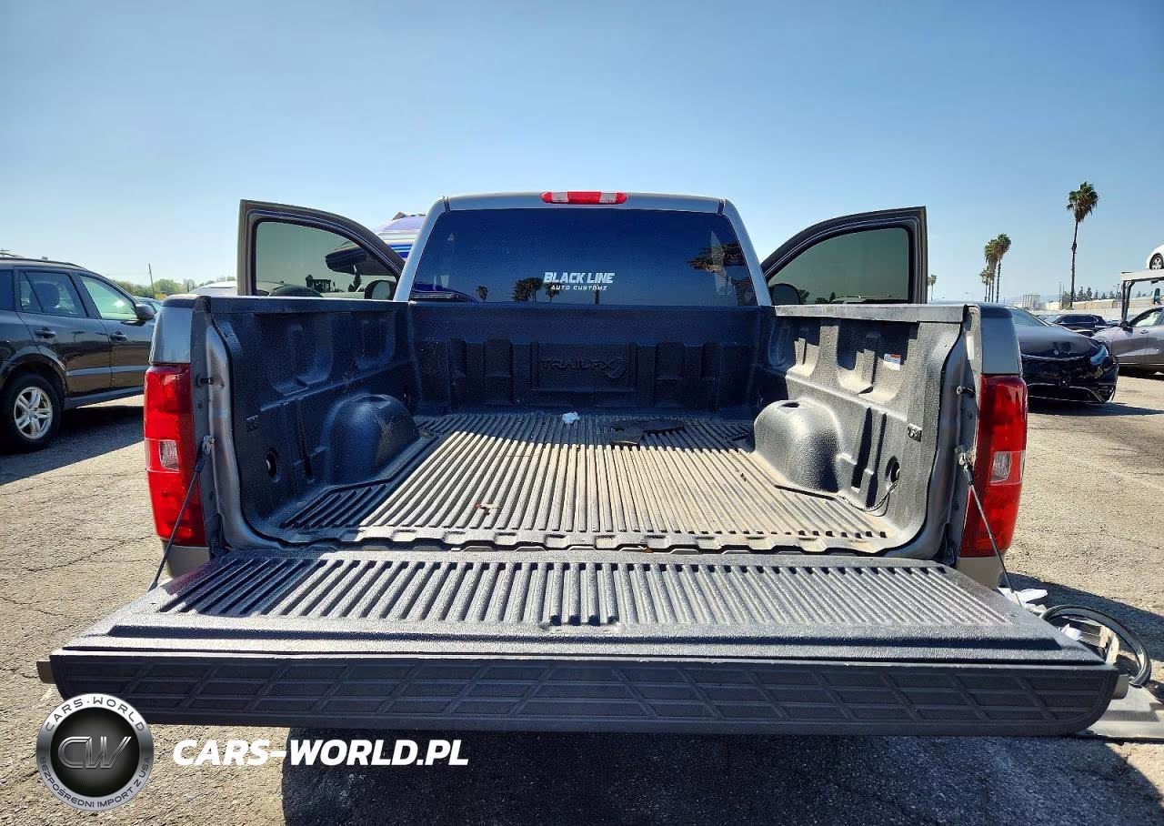 2013 Chevrolet Silverado C1500 Lt VIN:1GCNCSEA9DZ302544 - 10