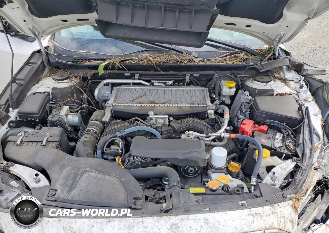 2022 Subaru Outback Limited Xt VIN:4S4BTGND1N3253981 - 12