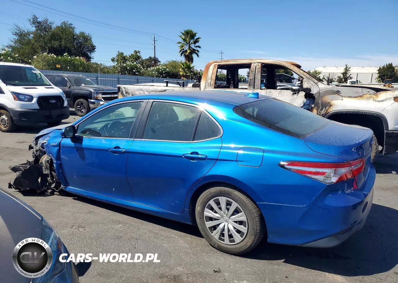 2020 Toyota Camry Le VIN:4T1C31AK0LU009865 - 2