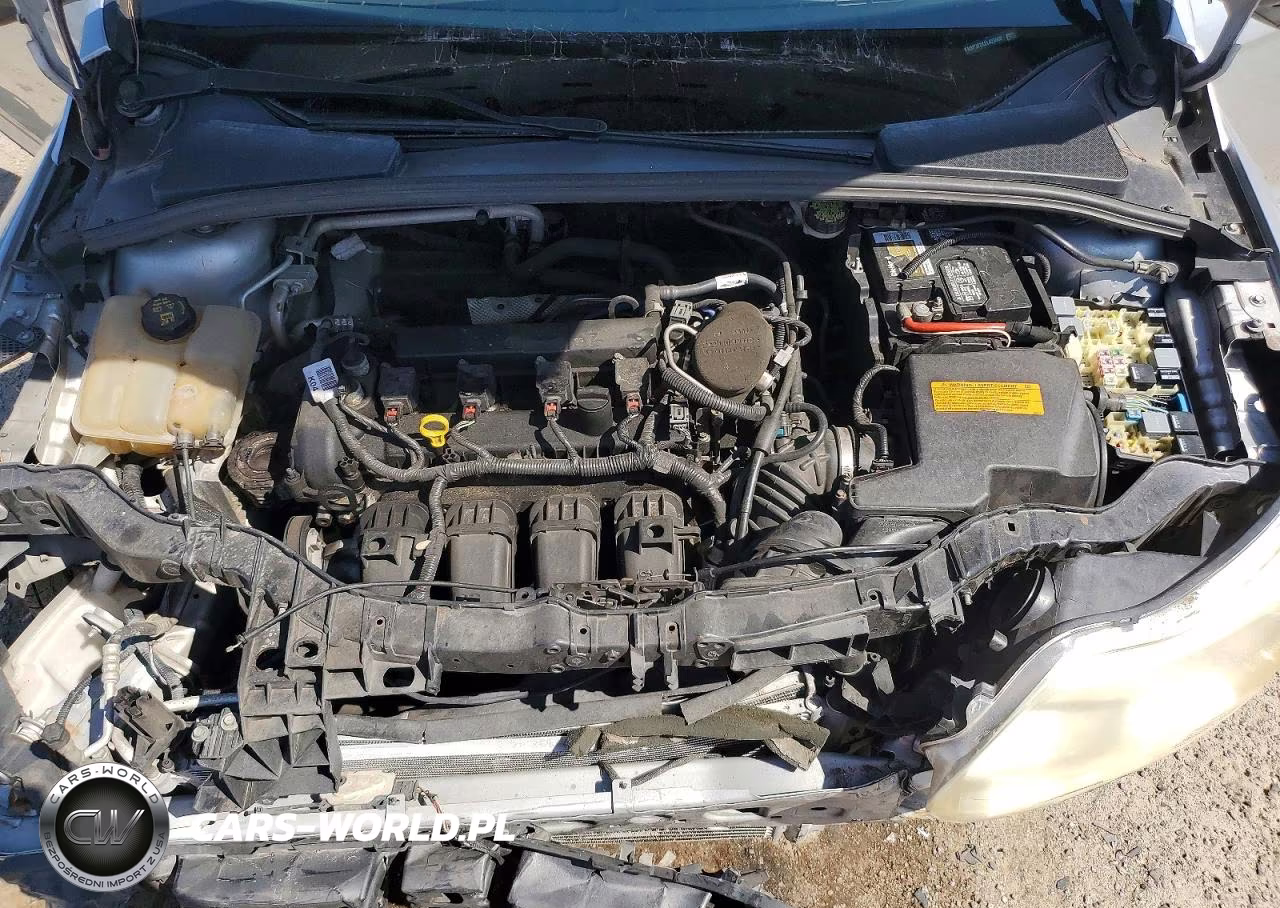 2014 Ford Focus Se VIN:1FADP3F2XEL425602 - 11
