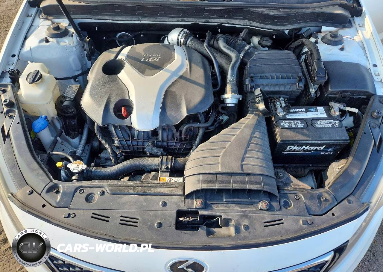 2013 Kia Optima Sx VIN:5XXGR4A64DG094953 - 11