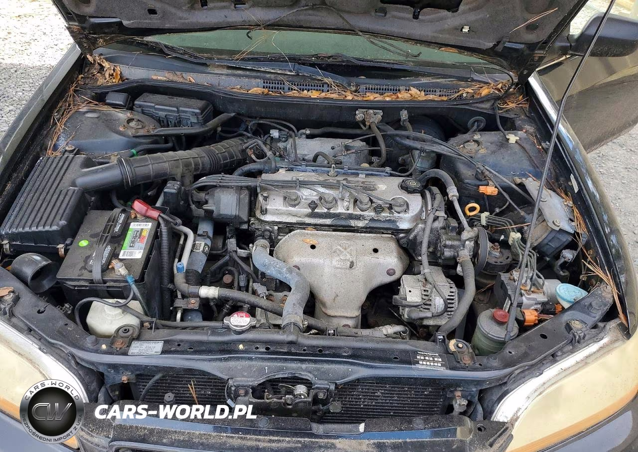 2002 Honda Accord Ex VIN:1HGCG32562A008556 - 11