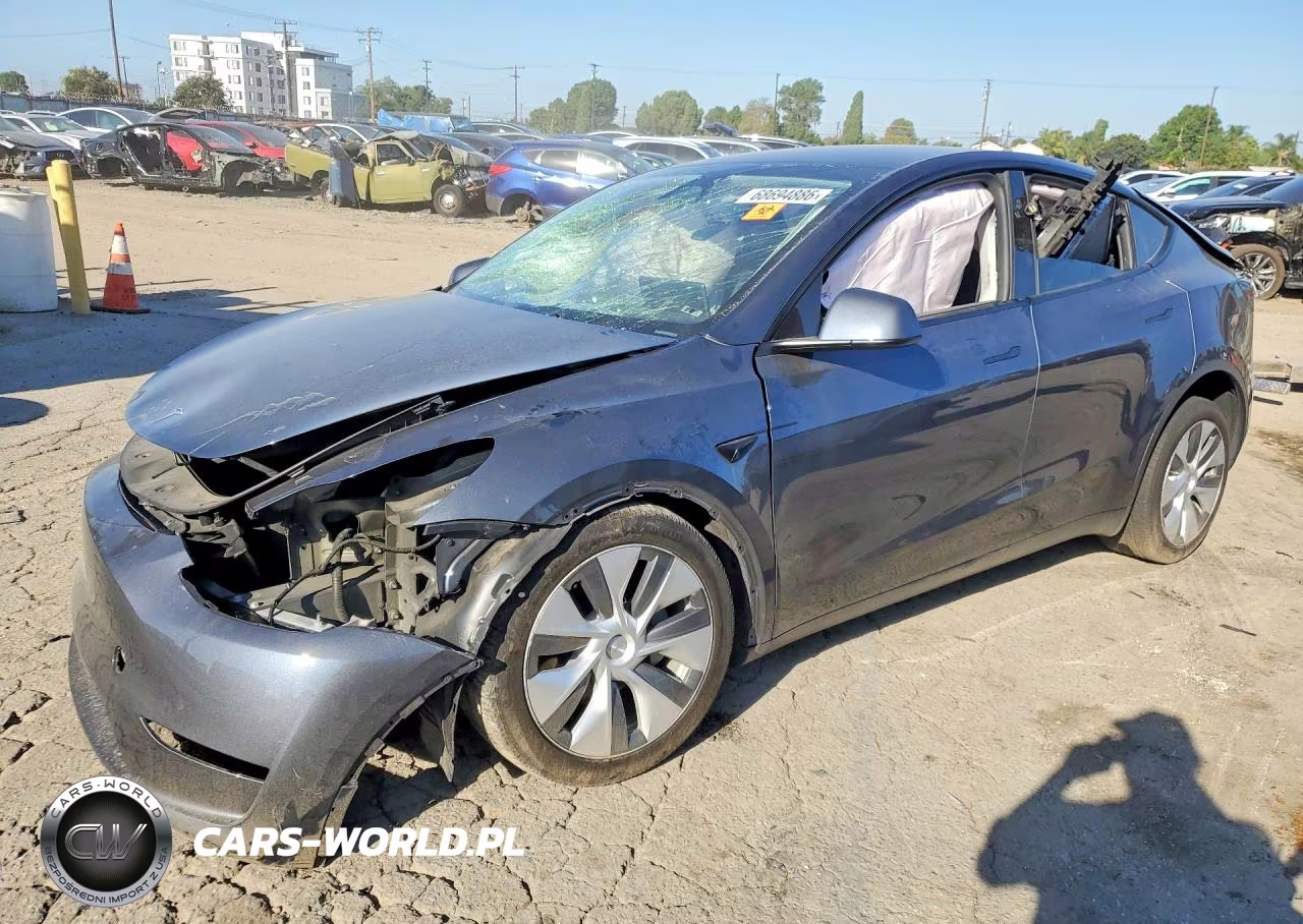 2023 Tesla Model Y VIN:7SAYGDEE4PA207920 - 1