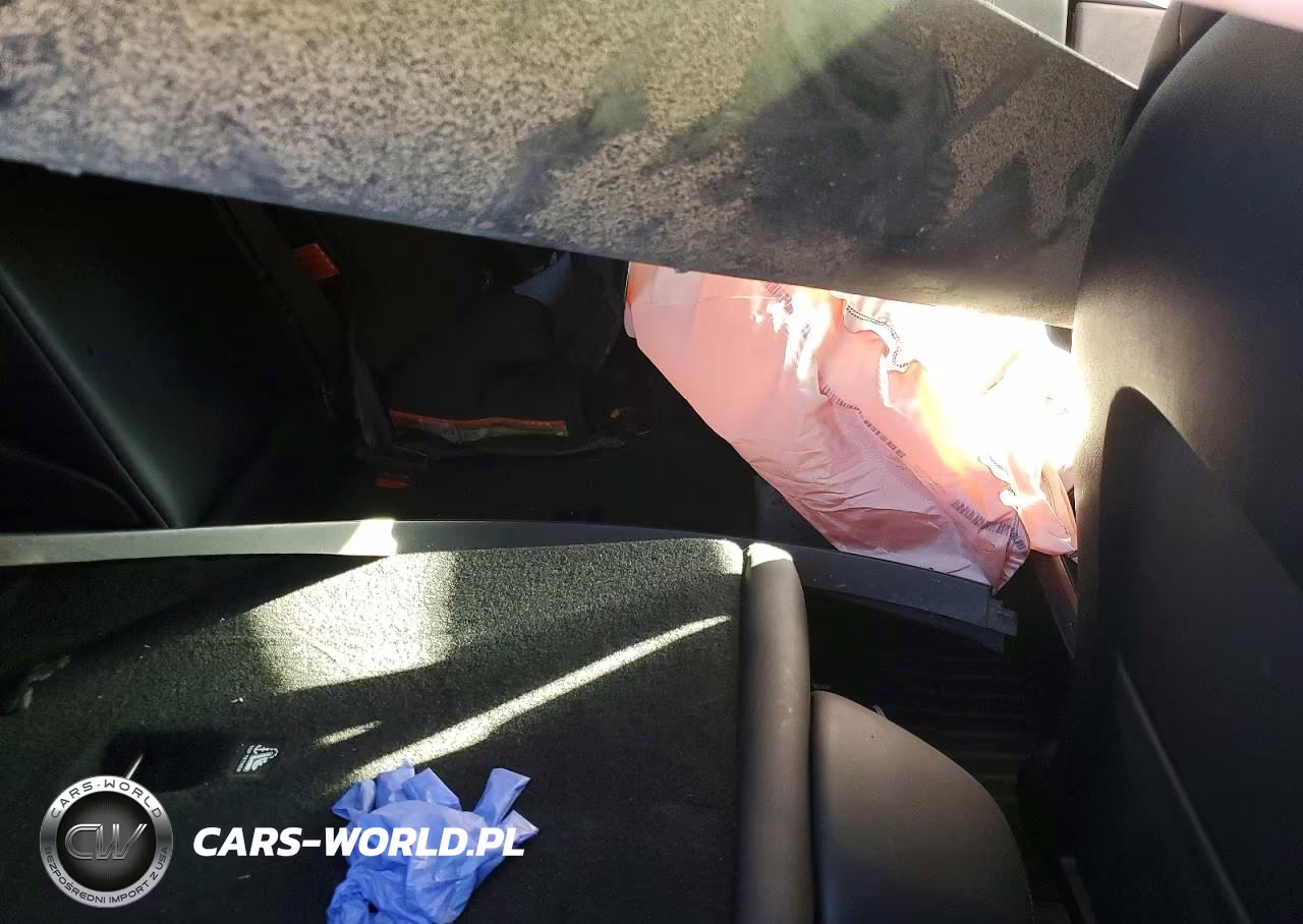 2023 Tesla Model Y VIN:7SAYGDEE4PA207920 - 10