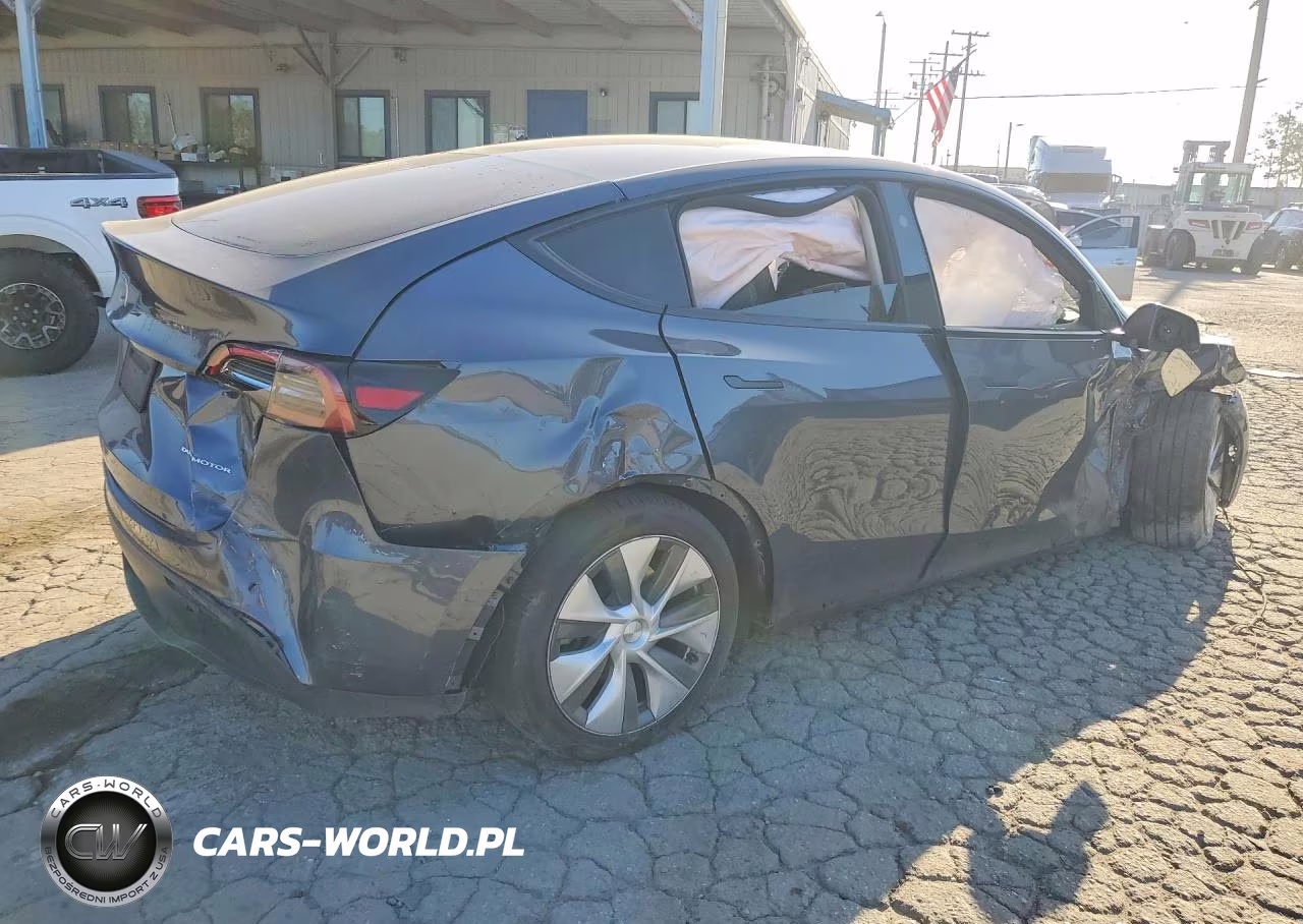 2023 Tesla Model Y VIN:7SAYGDEE4PA207920 - 3