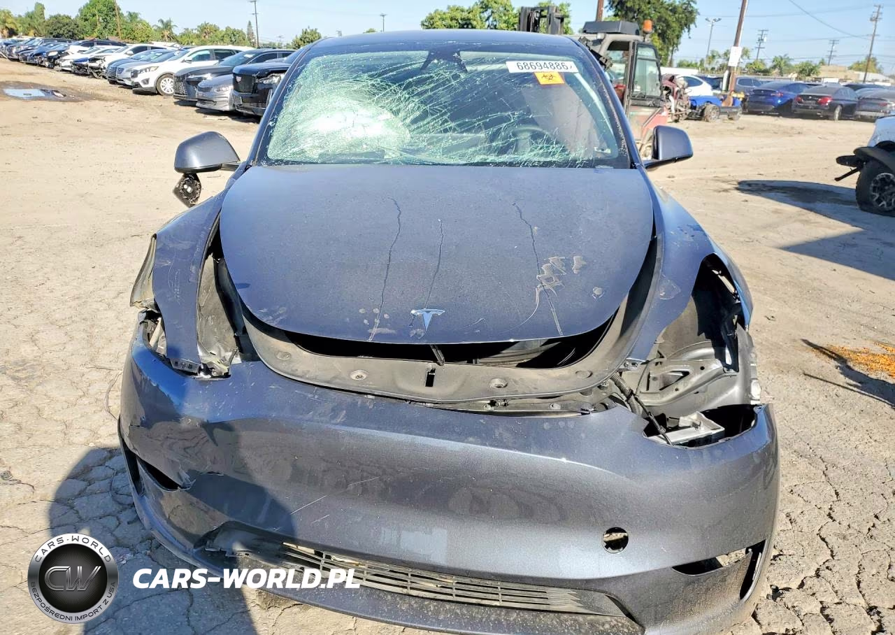 2023 Tesla Model Y VIN:7SAYGDEE4PA207920 - 5