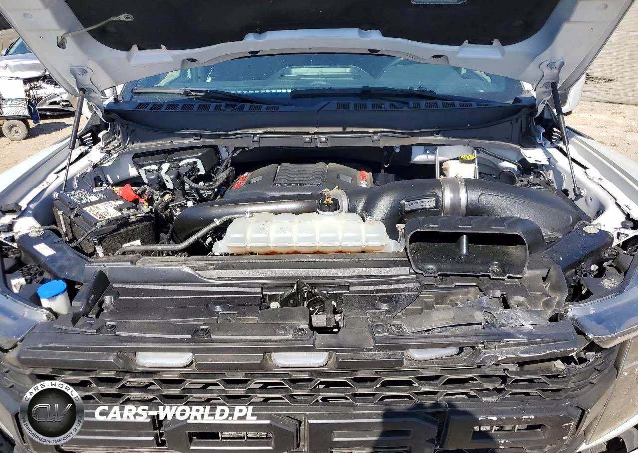 2023 Ford F150 Raptor VIN:1FTFW1RG0PFB96902 - 11