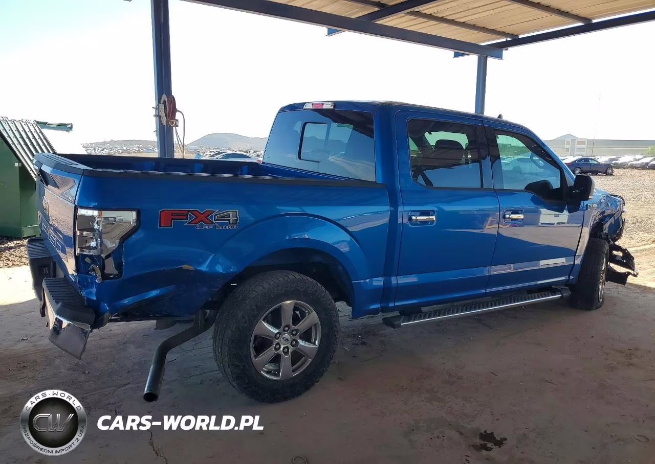 2020 Ford F150 Supercrew VIN:1FTEW1E47LKE96462 - 3