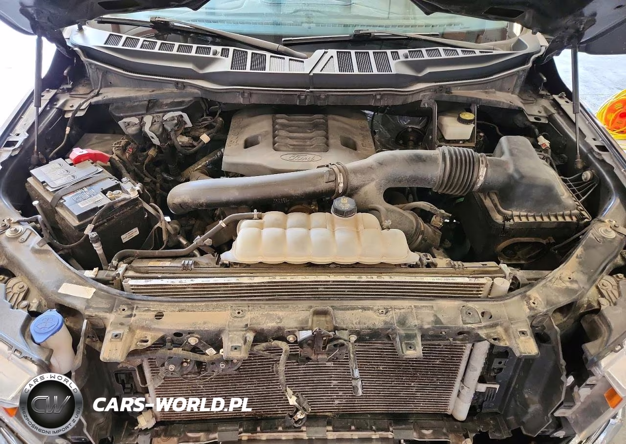 2022 Ford F150 Supercrew VIN:1FTFW1E89NKE10319 - 11
