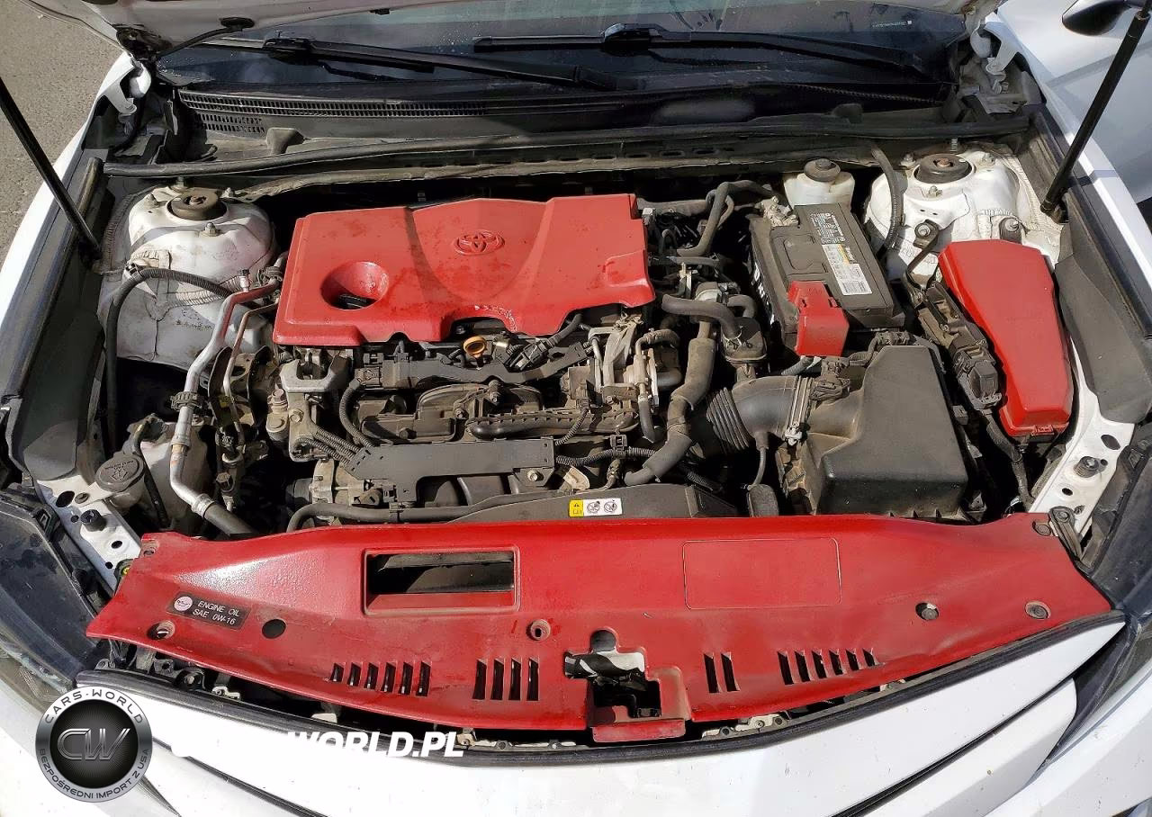 2019 Toyota Camry Le VIN:4T1B11HK7KU254247 - 11