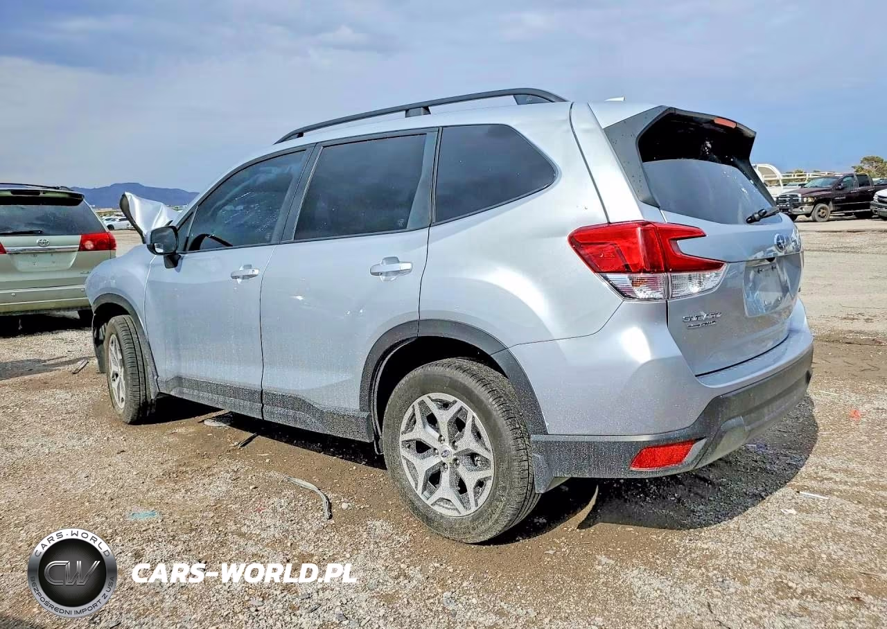 2019 Subaru Forester Premier VIN:JF1SKAEC7KH450715 - 2