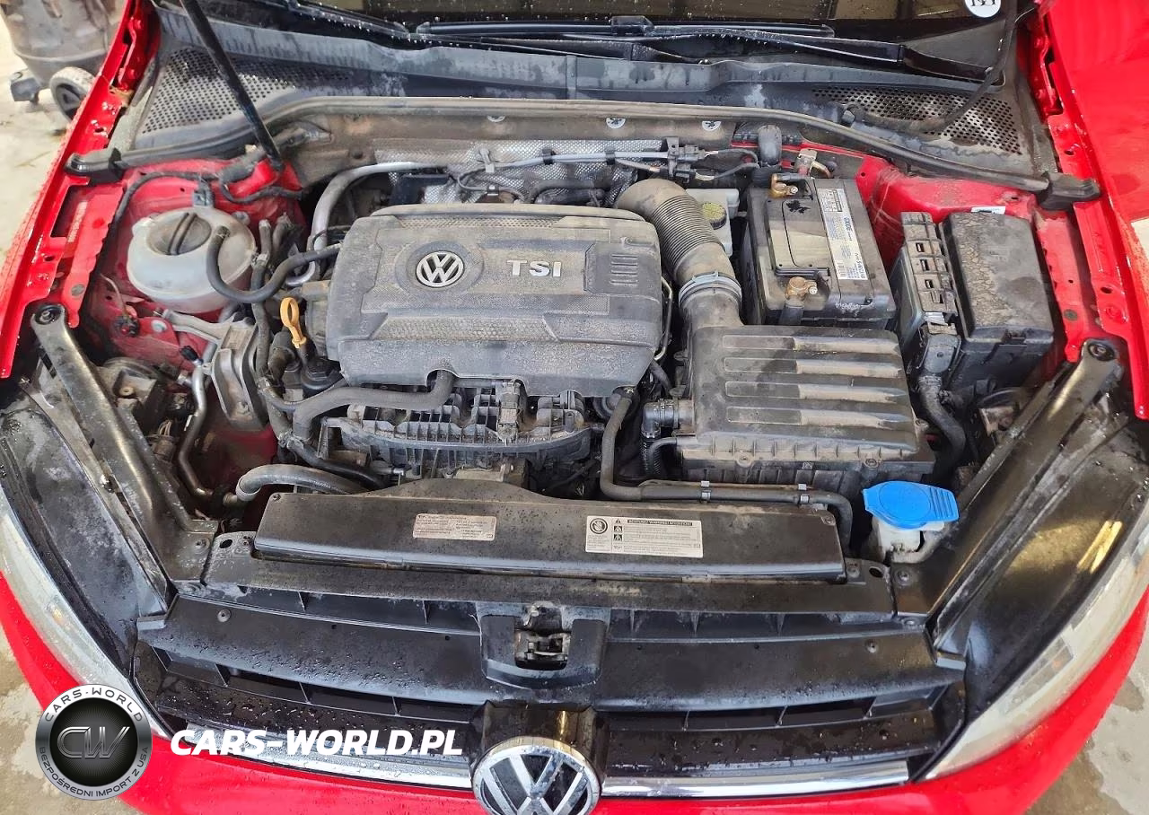 2017 Volkswagen Golf Sportwagen S VIN:3VW017AU7HM518006 - 11