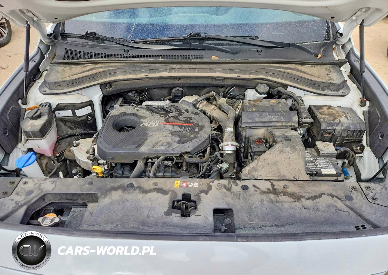 2020 Hyundai Santa Fe Sel 2.0T VIN:5NMS33AAXLH304434 - 11