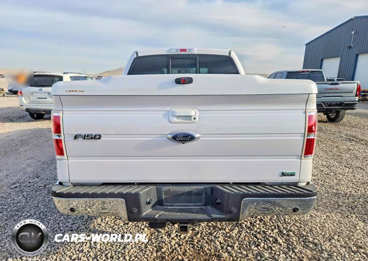 2010 Ford F150 Supercrew VIN:1FTFW1EV6AFD79474 - 6