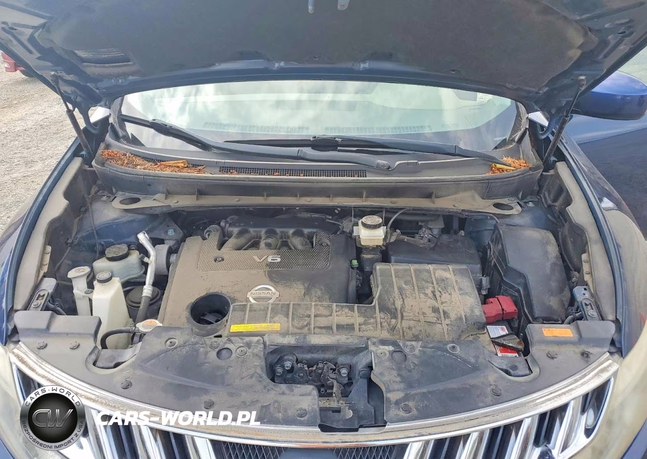 2010 Nissan Murano S VIN:JN8AZ1MW5AW120426 - 12