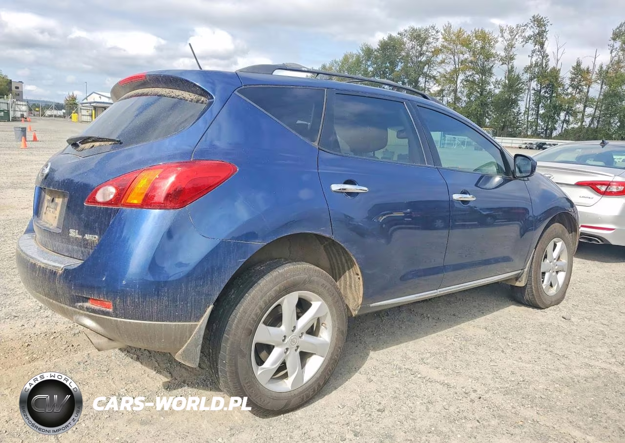 2010 Nissan Murano S VIN:JN8AZ1MW5AW120426 - 3