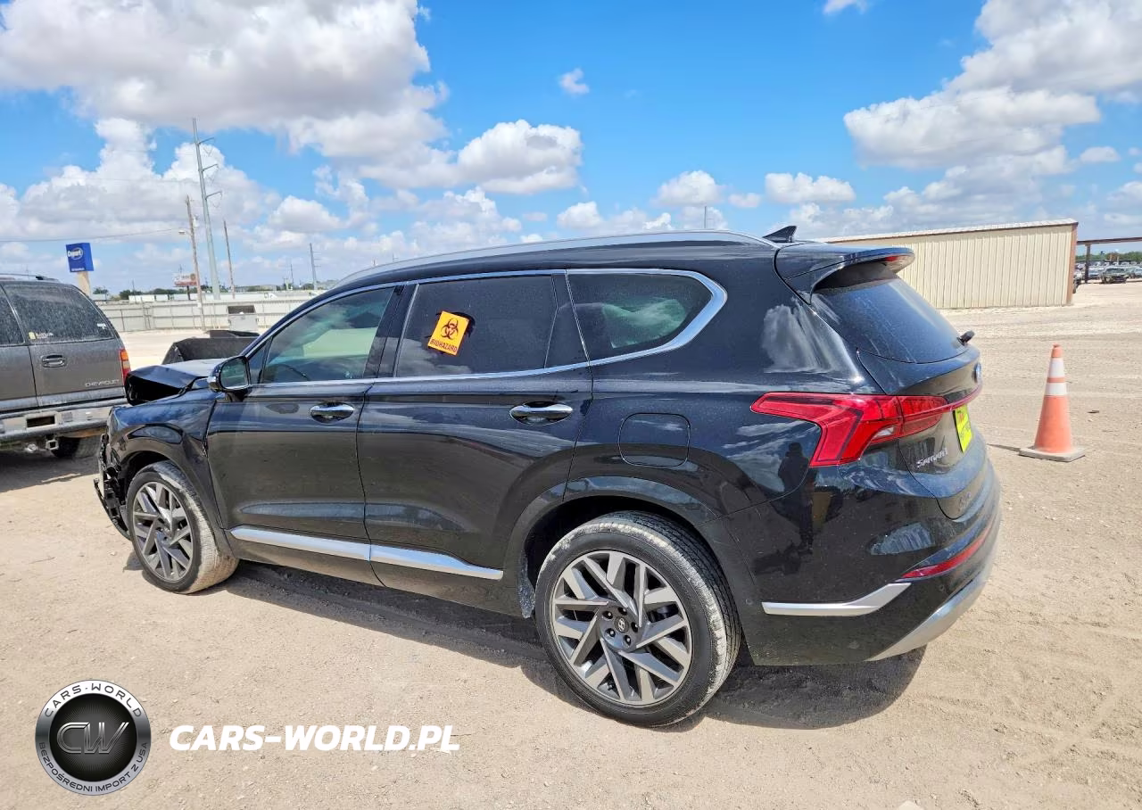 2022 Hyundai Santa Fe Calligraphy VIN:5NMS54ALXNH411195 - 2